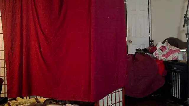 Ireallysquirt online show from January 16, 7:28 am