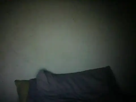 Snapshot of NCRCP7 chatting on December 20, 9:00 pm NCRCP7 online show from December 20, 9:00 pm