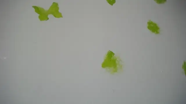 Snapshot of RACHELL__HOT chatting on September 30, 6:35 pm RACHELL HOT online show from September 30, 6:35 pm