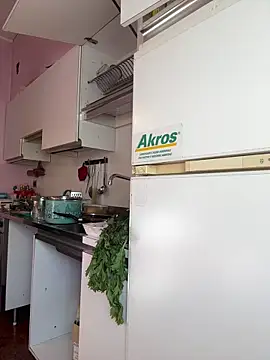 Sunbelxx online show from November 4, 8:46 am