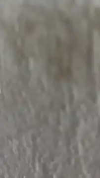 Snapshot of Ishikarana chatting on October 8, 5:05 am Ishikarana online show from October 8, 5:05 am