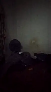 Snapshot of Flaquito_pitudo chatting on December 9, 8:22 am Flaquito pitudo online show from December 9, 8:22 am