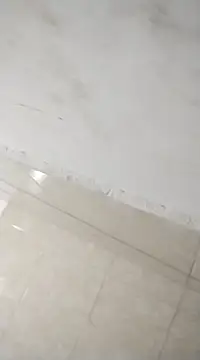 Snapshot of Flaquito_pitudo chatting on February 25, 12:03 pm Flaquito pitudo online show from February 25, 12:03 pm