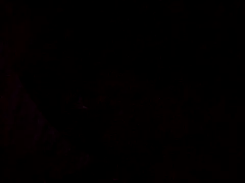 Snapshot of Flaquito_pitudo chatting on March 12, 8:30 am Flaquito pitudo online show from March 12, 8:30 am