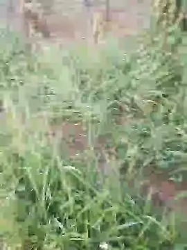 Snapshot of hotpussy-11 chatting on December 11, 3:35 am hotpussy-11 online show from December 11, 3:35 am