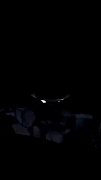 AriellaTaylor online show from December 14, 12:32 pm