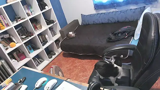 ravingr4d4 online show from October 24, 3:19 pm