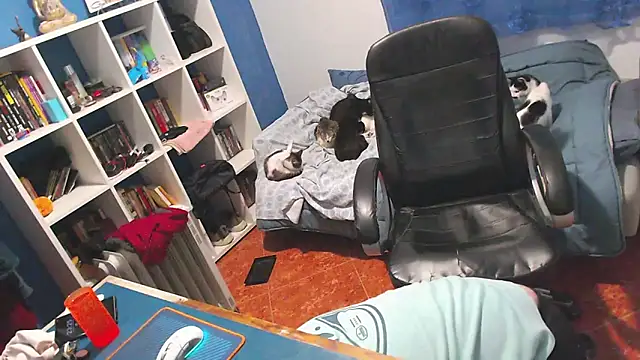 ravingr4d4 online show from February 2, 11:25 pm