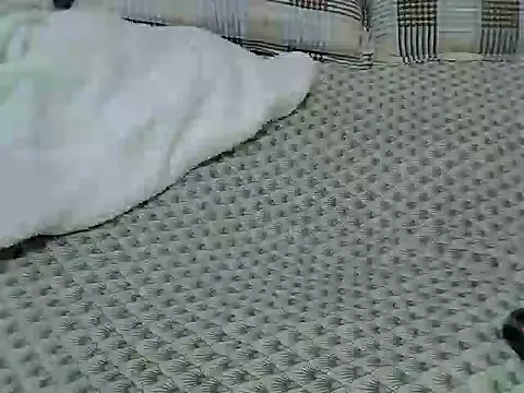 carey2 online show from December 20, 5:03 am