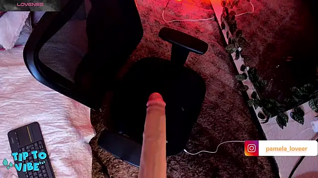 pamela bell online show from February 3, 8:57 pm