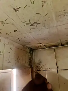 Snapshot of indiasexmf chatting on October 11, 4:33 am indiasexmf online show from October 11, 4:33 am