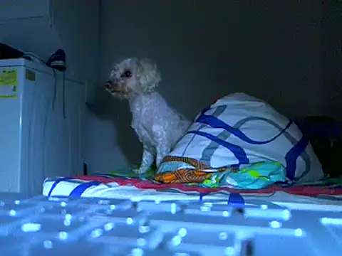 Ian zaenzz online show from November 27, 5:09 am