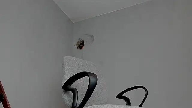 Master Mark Wayne online show from November 16, 11:16 am