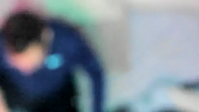 stillwild online show from February 5, 1:38 pm