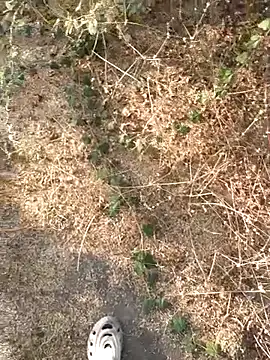 Ajith mvi online show from March 21, 11:37 am