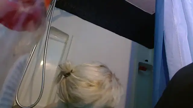 watermellonpussy online show from May 23, 8:51 am