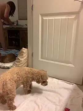 Snapshot of balad13 chatting on January 21, 4:32 am balad13 online show from January 21, 4:32 am