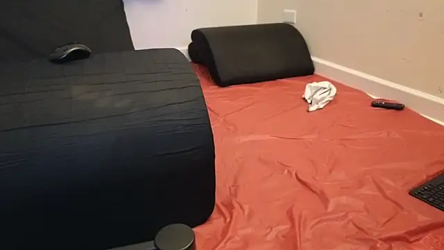 pantslesstraveler plt online show from February 3, 1:52 am