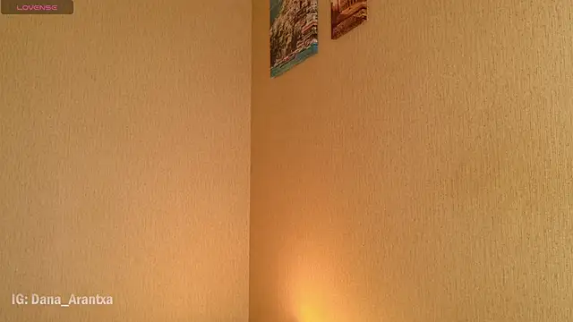 DanArant online show from October 11, 8:51 pm