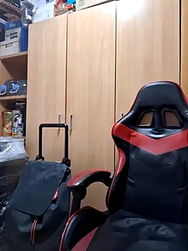 Javier bear online show from October 13, 1:33 pm