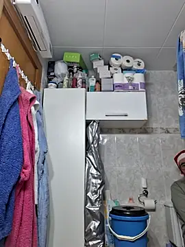 Javier bear online show from December 19, 1:40 pm