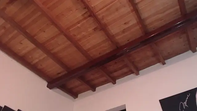 seleneh online show from March 10, 9:40 pm