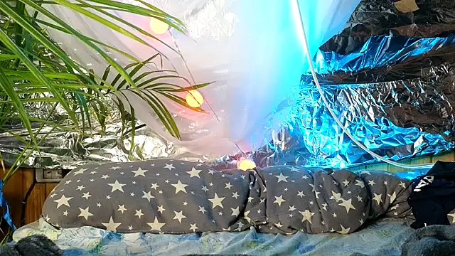 Jony Marta online show from October 9, 9:40 am