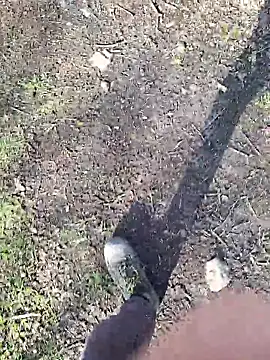 FreezingTie850 online show from March 11, 3:07 pm