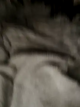 Tigerhill2023 online show from October 27, 9:13 am