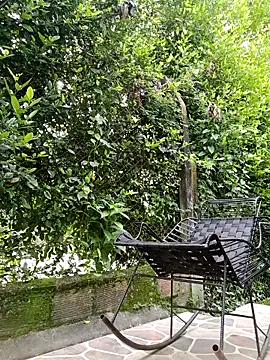 sebasxx97 online show from February 17, 3:19 pm