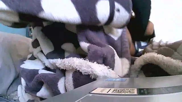 Bustypillows online show from May 7, 9:58 am