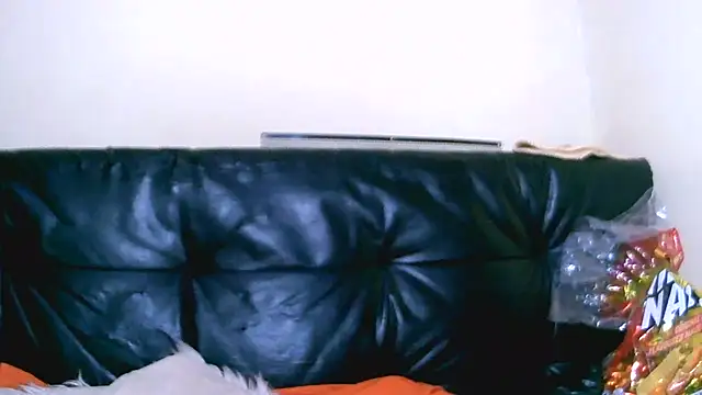 Bustypillows online show from July 10, 3:47 pm