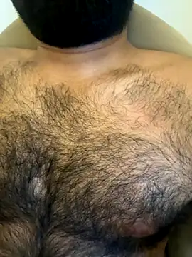 cubgay4u online show from November 19, 2:33 am