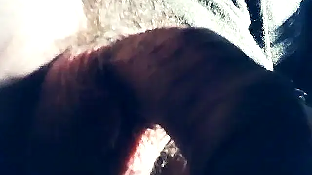 wedge75 online show from February 8, 10:29 pm