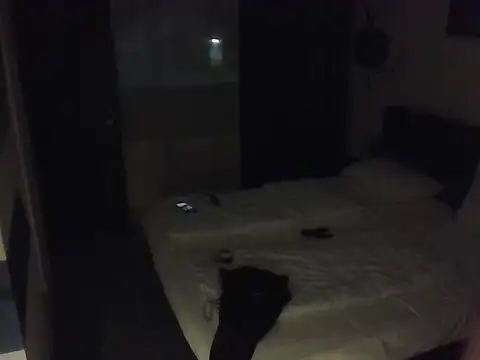 Snapshot of BigHenrySNC chatting on March 26, 10:15 pm BigHenrySNC online show from March 26, 10:15 pm