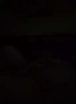 Snapshot of TheDime chatting on October 9, 11:52 am TheDime online show from October 9, 11:52 am