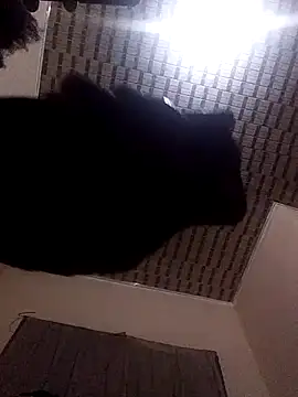 Blackpenis28 online show from May 2, 1:54 am