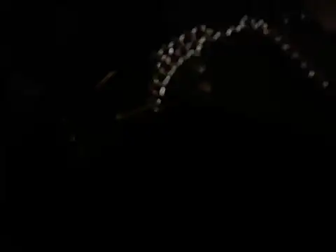 WilldoPita online show from February 5, 12:38 pm