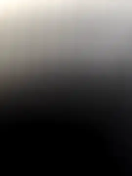 Rikipollav online show from March 8, 4:22 pm