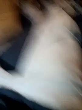 ySqmbVanbe online show from November 11, 7:14 pm