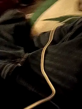 ySqmbVanbe online show from January 7, 2:14 am