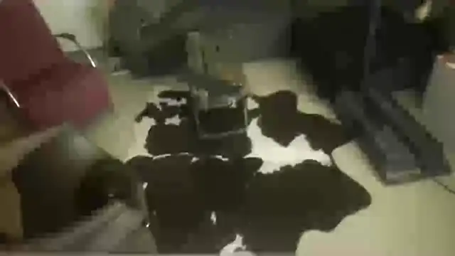 oopsxx online show from December 22, 1:57 am