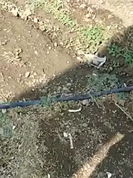 Snapshot of DADDY69SS chatting on February 8, 8:51 am DADDY69SS online show from February 8, 8:51 am