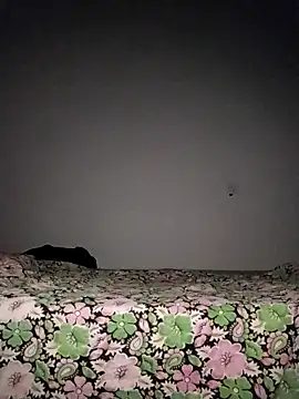 Snapshot of Sexygarl1024 chatting on October 8, 9:34 pm Sexygarl1024 online show from October 8, 9:34 pm