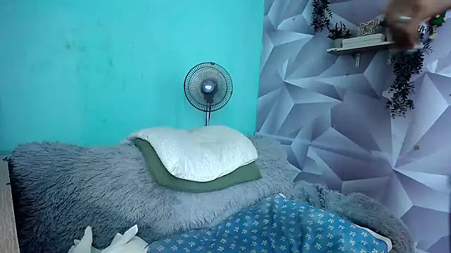 krityn 12 online show from November 10, 11:42 am