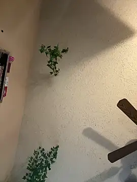 magicalc00ch online show from March 16, 9:37 pm