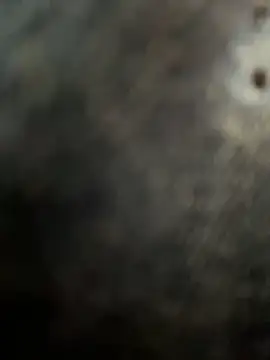 casalinga88 online show from March 1, 12:56 pm