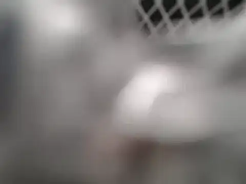 Snapshot of lovense_test04 chatting on March 7, 2:25 am lovense test04 online show from March 7, 2:25 am