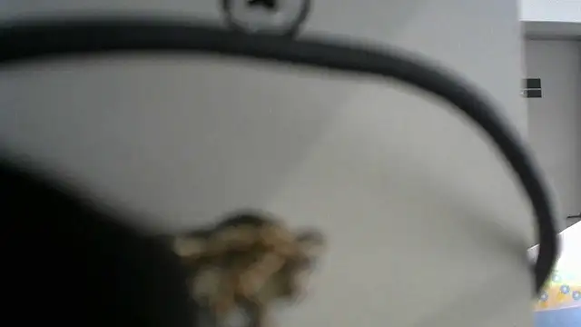 Snapshot of lovense_test04 chatting on September 19, 2:46 am lovense test04 online show from September 19, 2:46 am