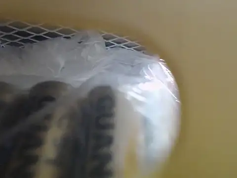 Snapshot of lovense_test04 chatting on October 16, 3:51 am lovense test04 online show from October 16, 3:51 am